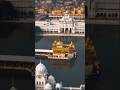 Golden Temple Amritsar Punjab Golden Temple Status