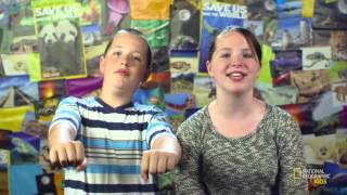 The History Of Bikes | Nat Geo Kids Transportation Playlist