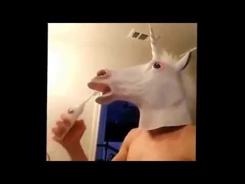Das letzte Einhorn