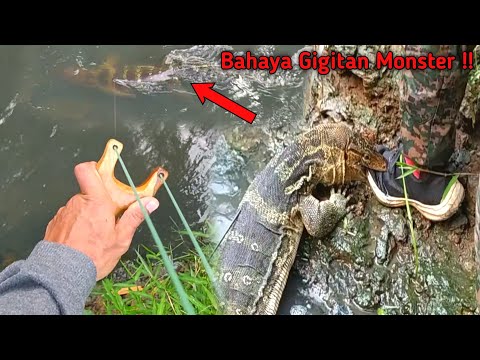 Hunter's Instinct!! Suspected of a crocodile in the water directly on the catapult