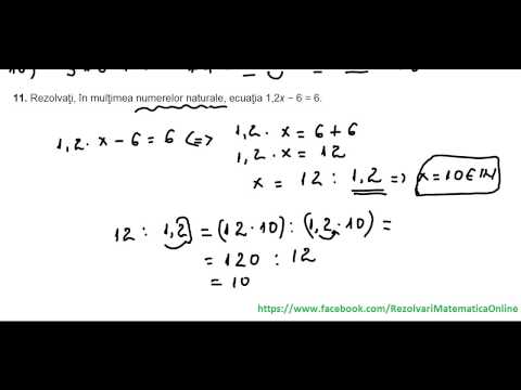 Clasa a VI-a - Test initial 1 (partea a II-a)
