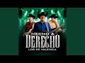 La Feria De Las Flores