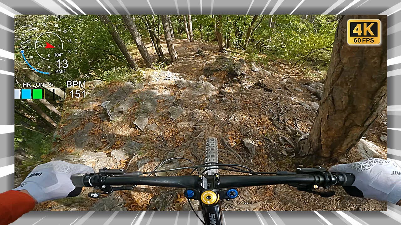 Husarentempel Trail ⚫ 2023 RAW | MTB Area Anninger | Radon Swoop AL 10.0