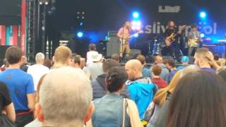 Dave McCabe Ramifications LIMF 2016