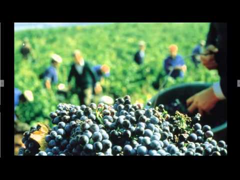 Matthew 21:33-34 End-Time Bible teaching