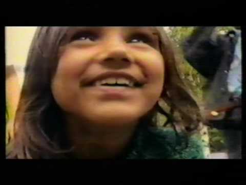 Bossa Dorado - videoclip