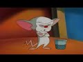 Pinky The Brain Best Of Orson Welles