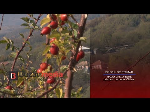 PROFIL DE PRIMAR - Radu Gheorghe, primarul comunei Cătina