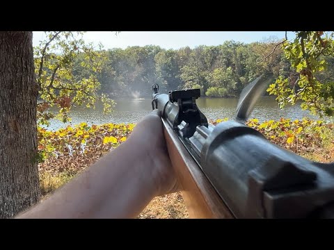 German Walther G41(w) POV firing