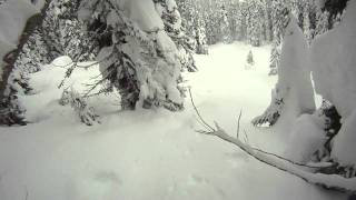 preview picture of video 'Rogers Pass powder'
