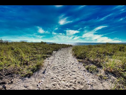 1400 TARPON CENTER Drive property video