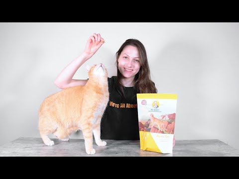 Dr. Marty Nature's Feast Cat Food Review (We Tried It)