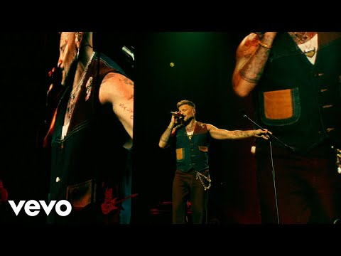 Pedro Capó - Divina (En Vivo Coliseo de Puerto Rico)