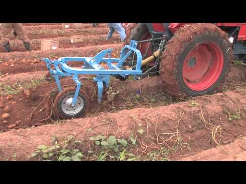 , title : 'How To Harvest Potatoes'