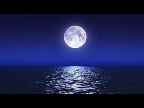 Sleep Music With Ocean and Jungle Sounds – Relaxing Blue Screen Scene – Ocean and Full Moon