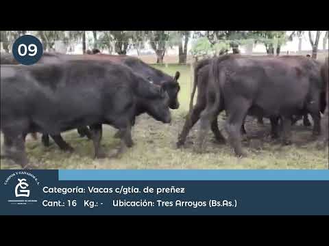 Lote VC CGP -  Tres Arroyos Bs As