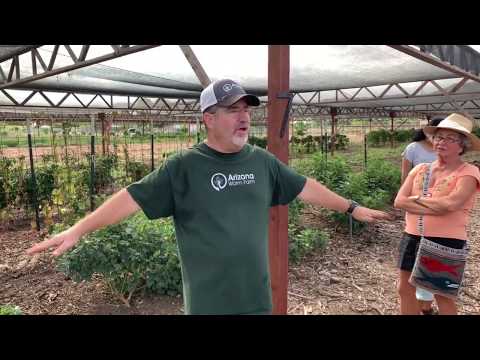 Arizona Worm Farm - Station 7 - Raised Bed Garden