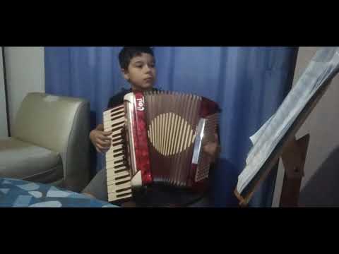 ainda ontem chorei de saudade-vini gaiteiro