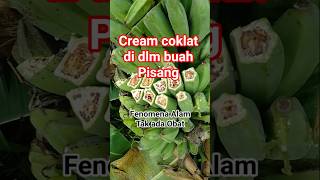Download lagu Fenomena Alam #shortsvideo #hiburan  #unik #fenomenaalam #storywa #virus mp3 Download lagu Fenomena Alam #shortsvideo #hiburan  #unik #fenomenaalam #storywa #virus mp3