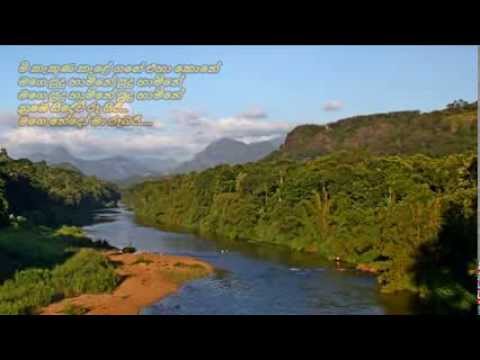 Mee Kekuna Kele - මී කැකුණ කැළේ