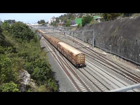 SCT008 & SCT006 with SCT Logistics 1BM9 - 1/11/21