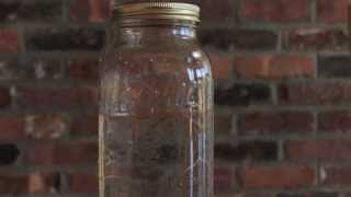 Muckalee Creek Water - Luke Bryan