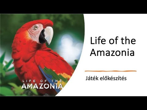 Life of the Amazonia - Játék előkészítés - Robert SoloPlay