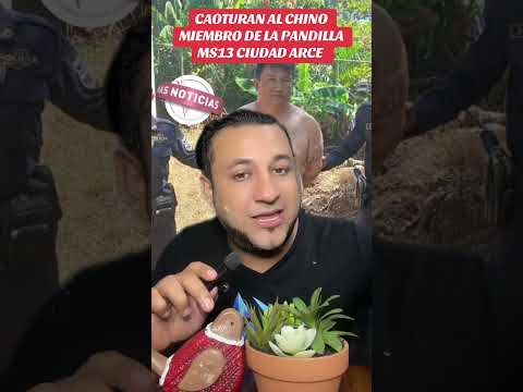 CAPTURAN AL CHINO MIEMBRO DE LA PANDILLA MS13 #noticiadeultimahora #noticias #ultimasnoticia