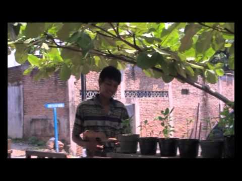 by Danielle Lemaire-the real keroncong. street in Semarang, 2 sept 2011