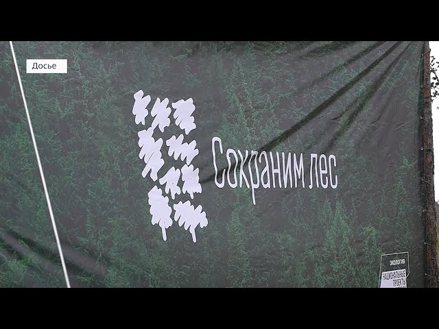 Иркутская область вошла в число пяти победителей Всероссийской акции «Сохраним лес»