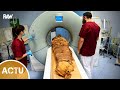Une Momie Egyptienne passe au scanner !