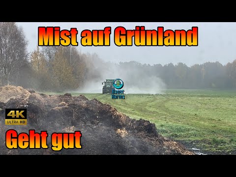 Pferde Mist auf Grünland im Herbst mit Tebbe Miststreuer John Deere 6215r