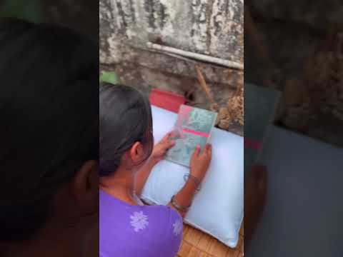 Tulika Semal Ki  T...