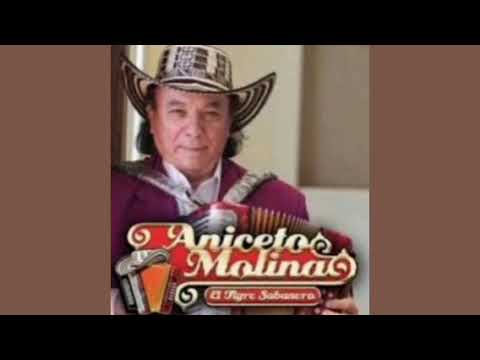 Mix de Aniceto Molina - Grandes exitos 😊👍😎