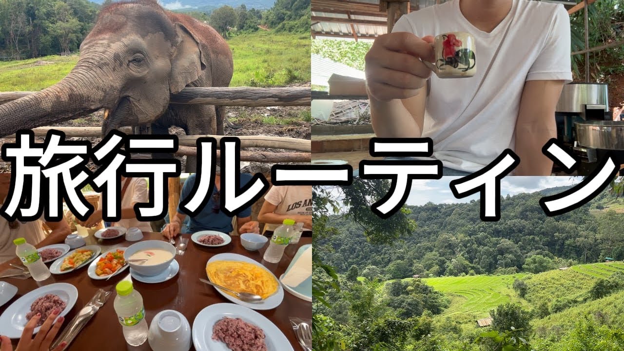 【3日目】チェンマイで象ふれあいツアーに参加する1日の過ごし方