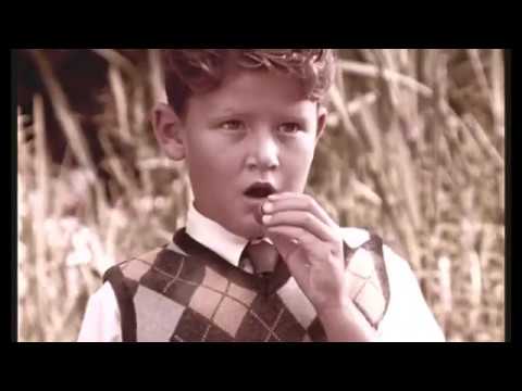 象は、忘れない。 / NESTLE「ELEPHANT」