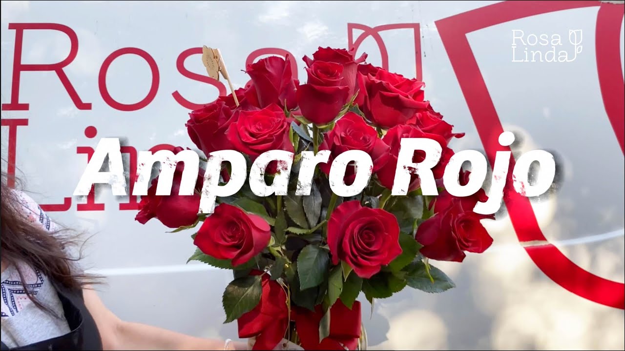 Arreglo floral Amparo Rojo