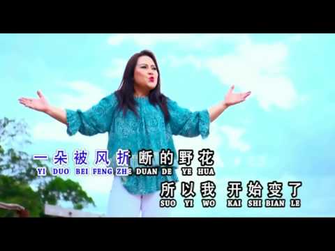 Hua huo 花火 - Wang Ie Ling 王玉莲
