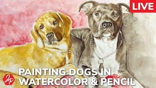 Paint dogs in watercolor and colored pencils, continuing work on Bandit & Zeus