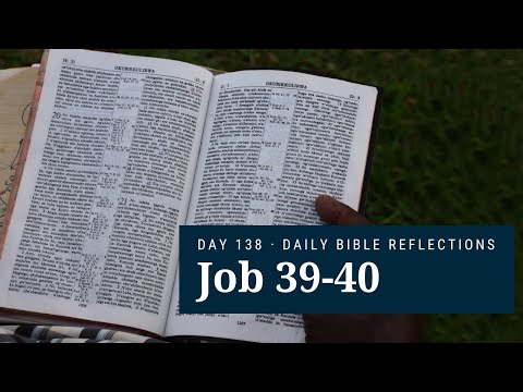 DAY 138 | Job 39-40 | The Bible in A Year