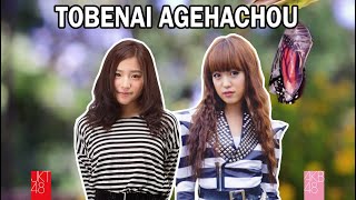 【Tobenai Agehachou 🦋】AKB48 | JKT48