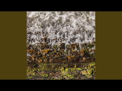 Vals Venezolano No.3