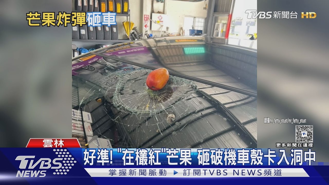 雲科大學生騎車遭「60年老欉芒果」砸中　芒果卡機車洞畫面曝