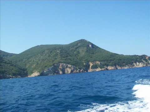 Summer is Here - Joy Rose