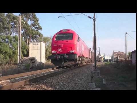 Comboio nº 48839 - Linha do Oeste