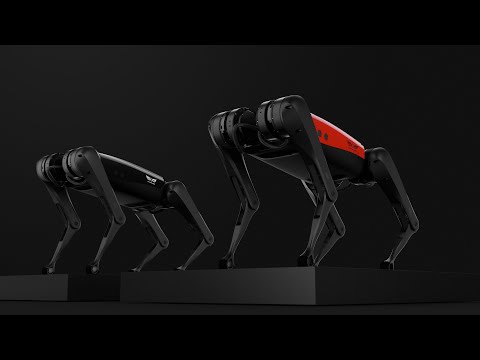 Vidéo YouTube - qVcZGxS2kKU