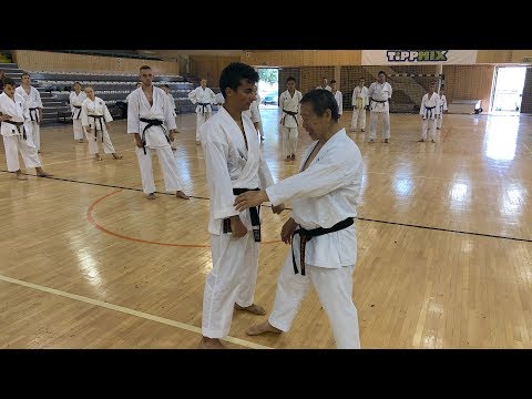 Masao Kagawa karate edzőtábor 2019.08.17 Eger - 2. rész