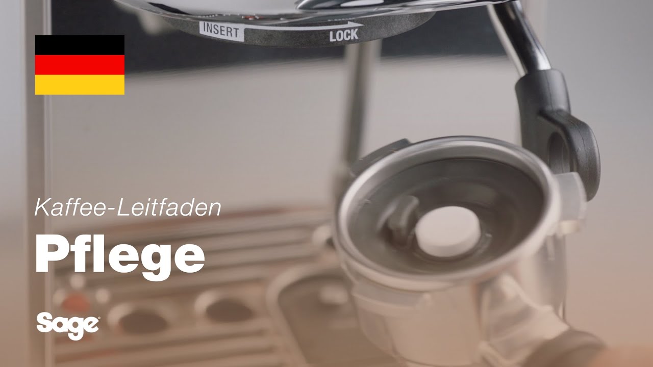 Durchführen eines Reinigungszyklus 