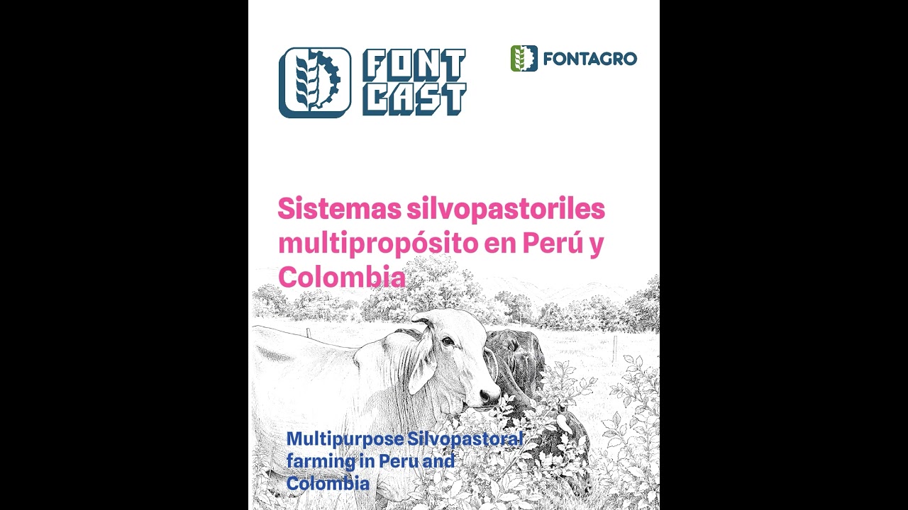 #FONTCAST - @fontagrolac: Sistemas silvopastoriles multipropósito en Perú y Colombia