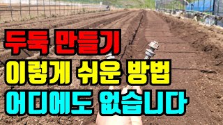 공개 !!! 생강두둑, 참깨두둑 정말 쉽게 만드는 방법 / 생강심는시기 / 생강심는간격 / 관리기활용법 꿀팁…